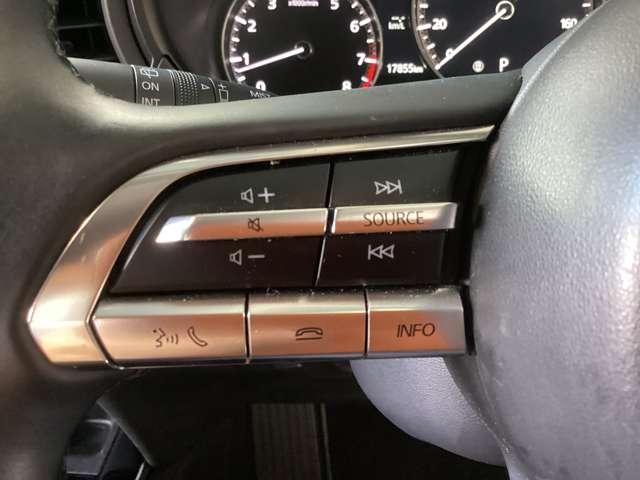 ハンドルを握りながらオーディオの操作やハンズフリー機能の