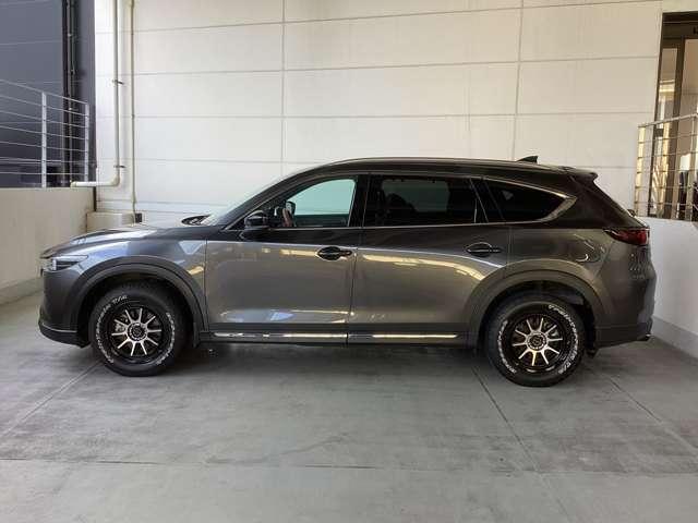 流れるようなデザインのサイドビュー。