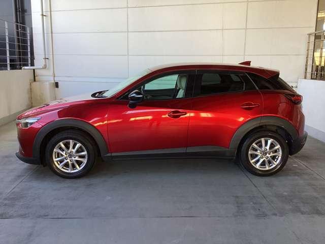 流れるようなデザインのサイドビュー。