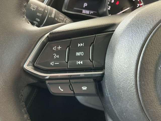 ハンドルを握りながらオーディオの一部操作が可能です。