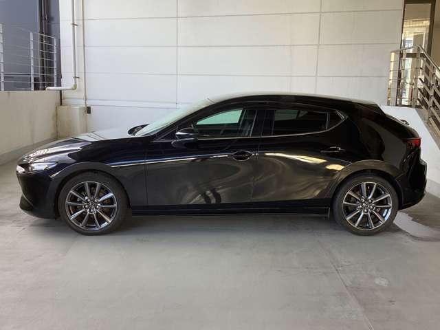 流れるようなデザインのサイドビュー。