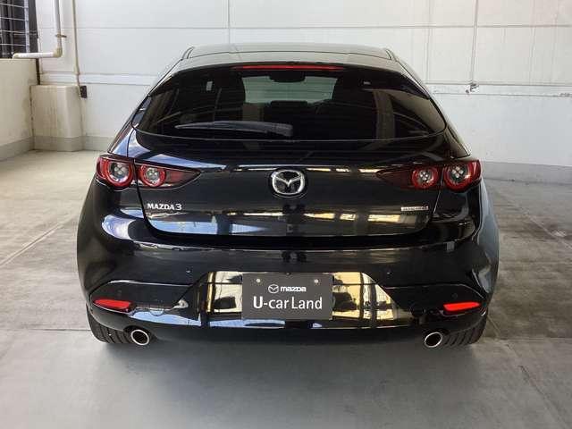 力強い印象のリアビュー。