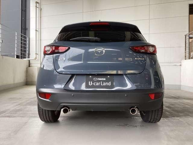 力を蓄えるような凝縮感のあるリアビュー