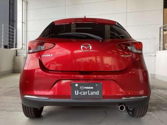 力を蓄えるような凝縮感のあるリアビュー