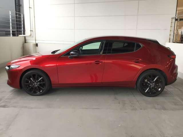 流れるようなデザインのサイドビュー。