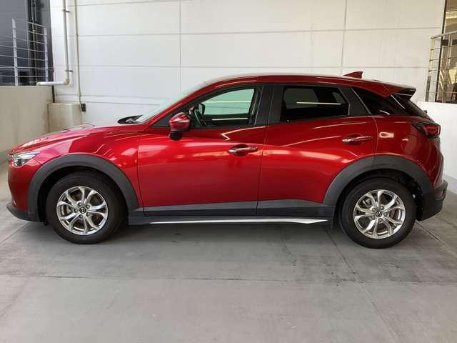 流れるようなデザインのサイドビュー。