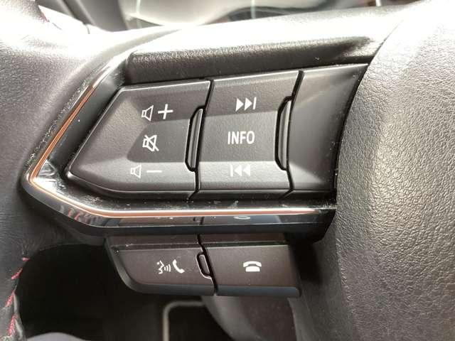 ハンドルを握りながらオーディオの一部操作が可能。ハンズフリー機能もここから操作できます。