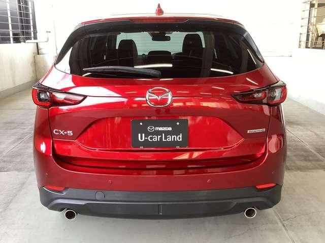 力強い印象のリアビュー。