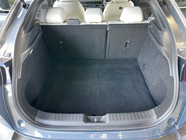 ��Ȃ̃h�����N�z���_�[�ł��I��^�A�[�����X�g�Ƃ��Ă̗��p�͂������g�p�ł��܂��B