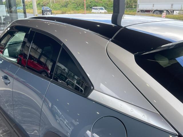 �i�r�Q�[�V�����̑��ʂłs�u�����������������܂��B