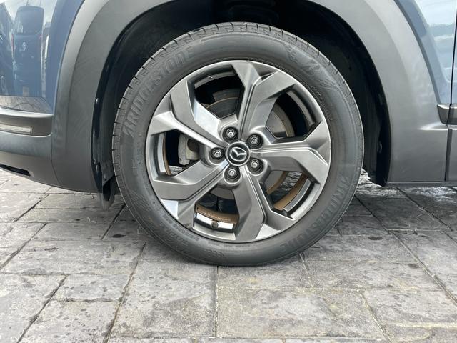 �W�������̏����P�W�C���`�A���~�z�C�[���ł��B