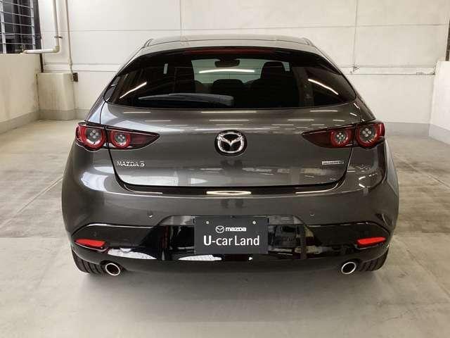 力強い印象のリアビュー。