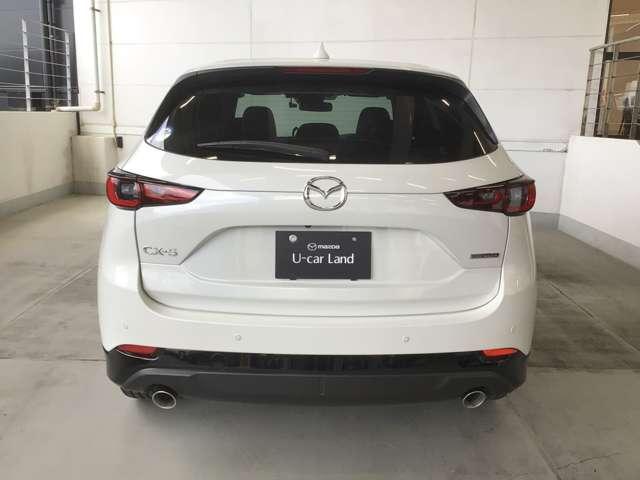 力強い印象のリアビュー。