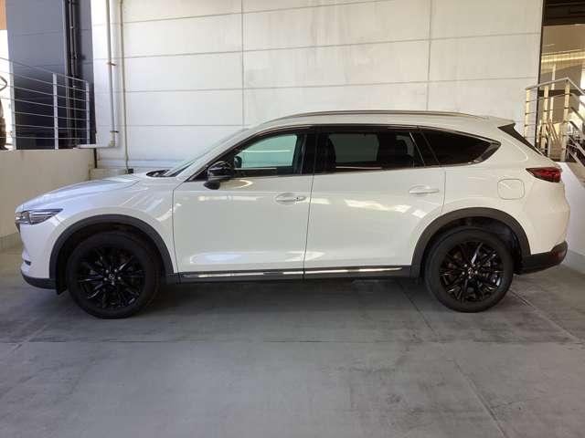 流れるようなデザインのサイドビュー。