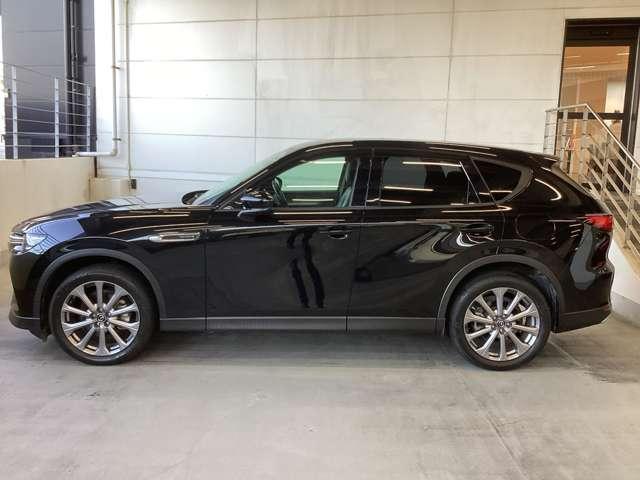 流れるようなデザインのサイドビュー。