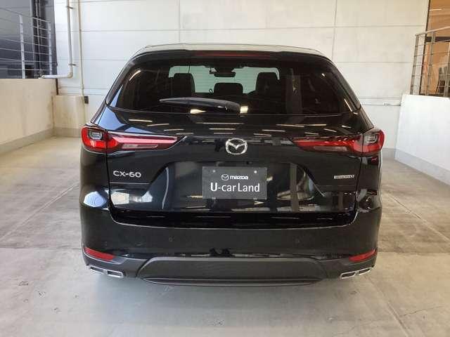 力強い印象のリアビュー。