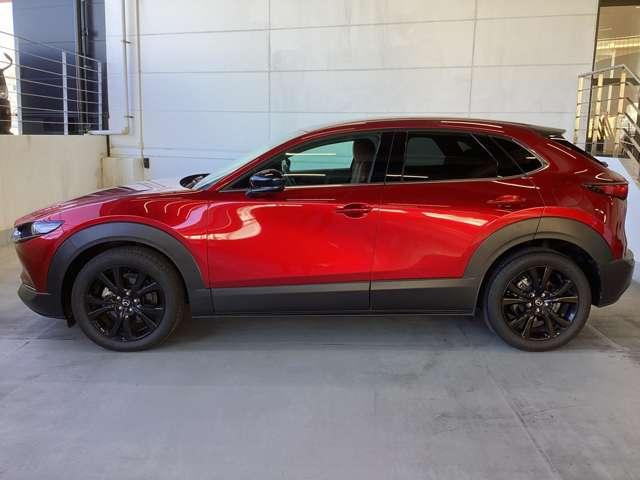 流れるようなデザインのサイドビュー。