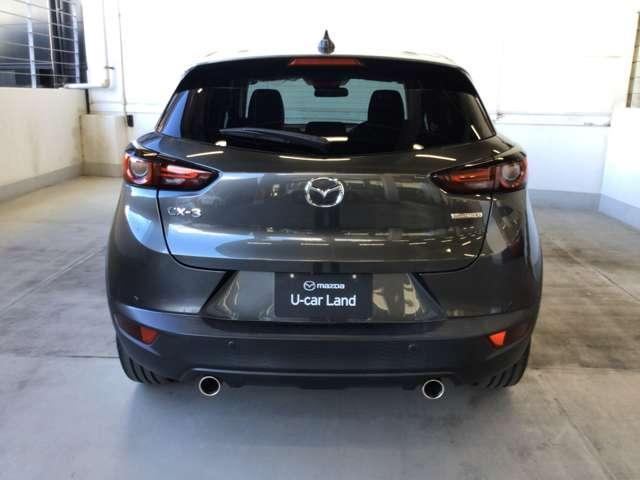 流れるようなデザインのサイドビュー。