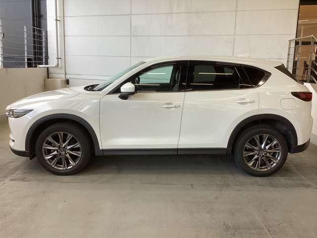 流れるようなデザインのサイドビュー。