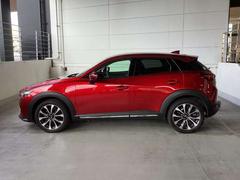 ή褦ʥǥΥɥӥ塼 2