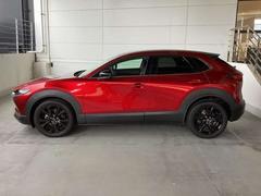 ή褦ʥǥΥɥӥ塼 2