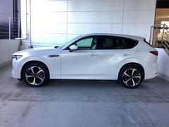 ή���褦�ʥǥ�����Υ����ɥӥ塼�� 2