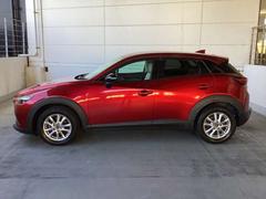 ή褦ʥǥΥɥӥ塼 2