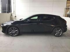 ή褦ʥǥΥɥӥ塼 2