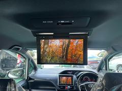 ���������� �ڣӡ�����ץƥ󥷡��ȡ���̾��ꡡ������������ʥӣԣ֥ե륻��������������������ʥ�˥��� 0120104A30251209W002 5