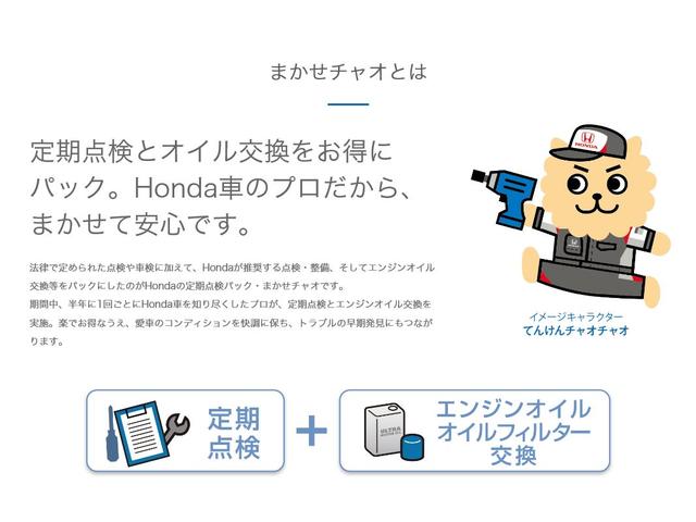 シビック ＲＳ　ＦＯＰナビ　ドラレコ　スマートキー、リアカメラ、カーナビ、ＴＶ、フロアマット、ドアバイザー　防錆済　ＬＥＤヘッド　Ｂカメラ　シートヒーター　パワ－シ－ト　フルセグＴＶ　クルーズコントロール　ＵＳＢ（24枚目）