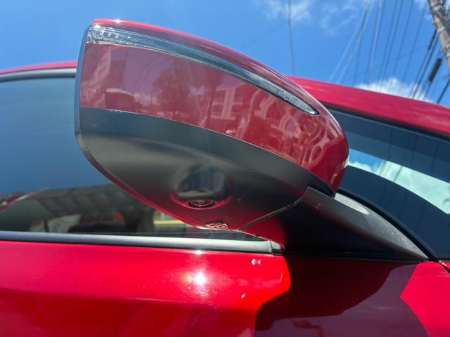 リーフ Ｘ　満充電２８５Ｋ・ＥＶバッテリー１２セグ・全方向カメラ・後期９インチナビ・フルセグ・Ｂｌｕｅｔｏｏｔｈ・プロパイロット・デジタルミラー・ドラレコ前後・ＥＴＣ・アップカープレイドコモ車内ｗｉｆｉ対応（50枚目）