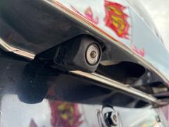 ����ȥ� �ϥ��֥�åɣء����㥶���ʥӡ��ԣ֡��ϡ��ե쥶�������ȡ��ɥ�쥳 0120159A30251117W003 7