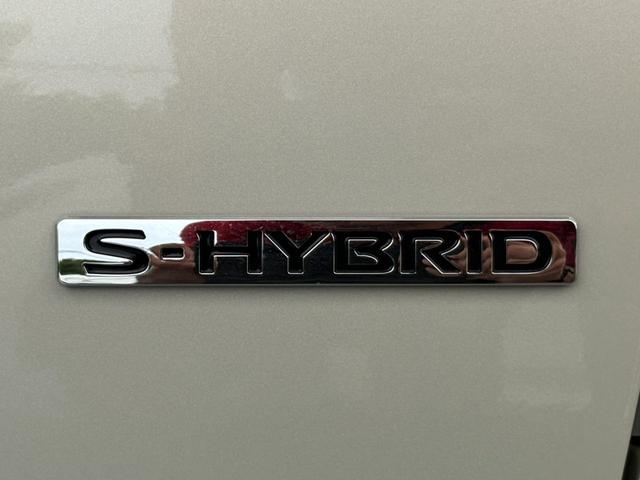 ルークス X Sハイブリッド・ナビ・TV・DVD・ブルートゥース・全方位アラウンドビューカメラ・パワースライドドア・エマージェンシーブレーキ搭載(47枚目)