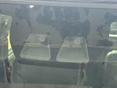  ءգӣ¡գбХå顡ɥ饤֥쥳 0120167A30251025W001 4