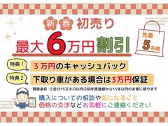 �ϥ��顼 �ǡ��ե륻���ԣ֡��Хå�����顡�ɥ饤�֥쥳���������ţԣ� 0120179A30251016W002 2