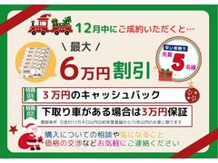 ����� �̡��������ʸ򴹡ʥ�������Хåƥ꡼�ˡ��ե륻���ԣ֡��Хå�����顡�ɥ饤�֥쥳������ 0120179A30251113W004 2