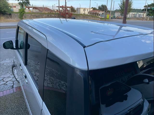 ムーヴキャンバス ストライプス　Ｇ（39枚目）