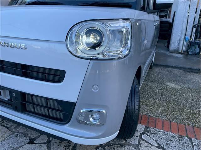 ムーヴキャンバス ストライプス　Ｇ（46枚目）