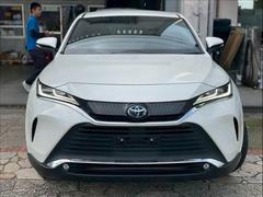 �ϥꥢ���ϥ��֥�å� �ϥ��֥�åɡ��� 0120185A20260412D012 2