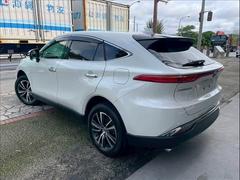 �ϥꥢ���ϥ��֥�å� �ϥ��֥�åɡ��� 0120185A20260412D012 5