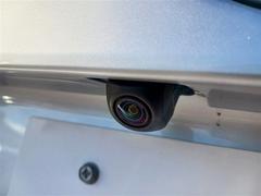 �ץꥦ�� �ӡ����꡼�ʥӡ��ߥ塼���å��ץ쥤�䡼��³�ġ��Хå�����顡�����ﳲ�ڸ������ƥ� 0120228A20251127T001 6