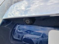 ������ �ӥ�������֥�å�����󥻥������꡼�ʥӡ��ߥ塼���å��ץ쥤�䡼��³�ġ��Хå������ 0120228A20251127T015 6