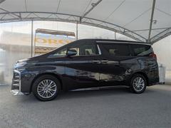 ����ե����ɥϥ��֥�å� �ӣҡ��åѥå����������ףġ��ե륻�������꡼�ʥ� 0120228A20260107T002 3