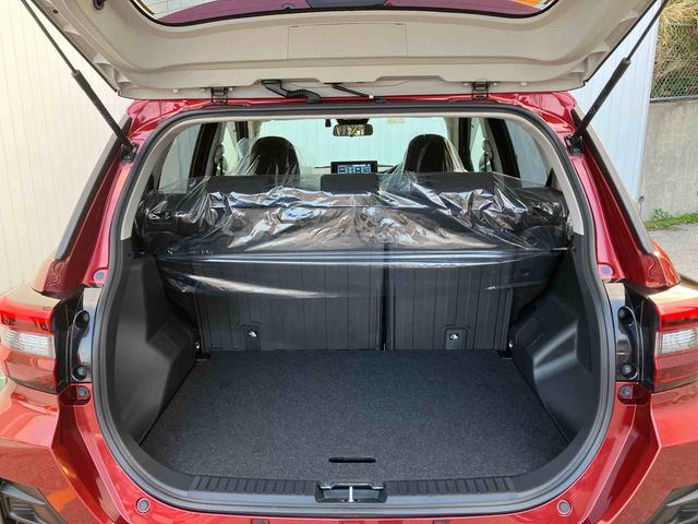 ロッキー Ｘ（18枚目）