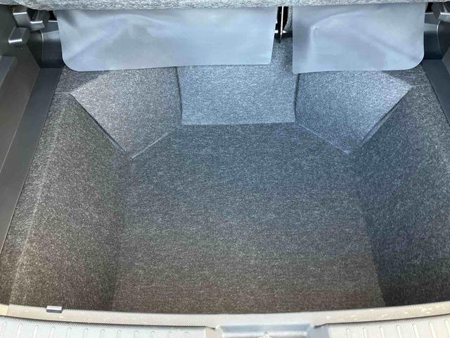 ロッキー Ｘ（20枚目）