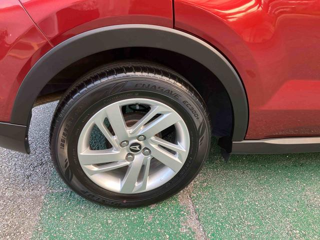 ロッキー Ｘ（23枚目）