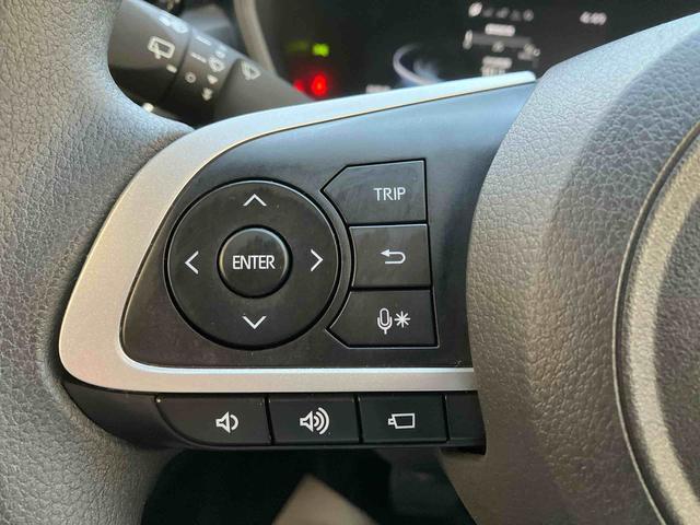 ロッキー Ｘ（31枚目）