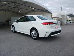 �������� �ϥ��֥�åɡ��ӡ��ե륻�����ߥ塼���å��ץ쥤�䡼��³�ġ��Хå������ 0120269A20251211T002 4