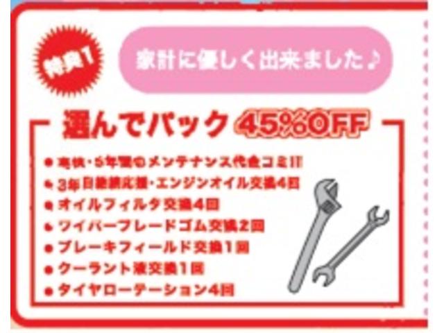 X SAIII 両側電動スライド ナビ(22枚目)