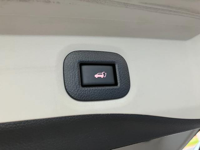 パーワーバックゲート